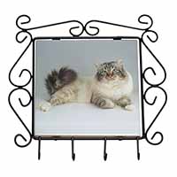 Tabby Birman Cat Wrought Iron Key Holder Hooks