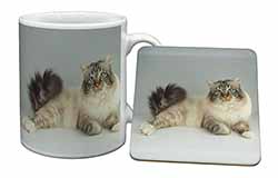 Tabby Birman Cat Mug and Coaster Set