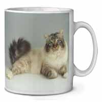 Tabby Birman Cat Ceramic 10oz Coffee Mug/Tea Cup