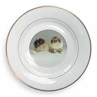 Tabby Birman Cat Gold Rim Plate Printed Full Colour in Gift Box