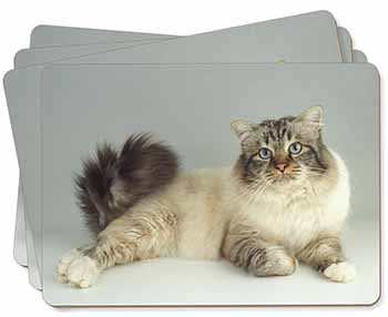 Tabby Birman Cat Picture Placemats in Gift Box