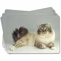 Tabby Birman Cat Picture Placemats in Gift Box
