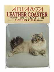 Tabby Birman Cat Single Leather Photo Coaster