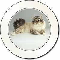 Tabby Birman Cat Car or Van Permit Holder/Tax Disc Holder