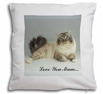 Tabby Birman Cat 