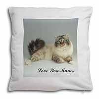 Tabby Birman Cat 