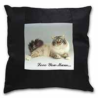 Tabby Birman Cat 