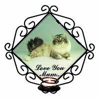 Tabby Birman Cat 