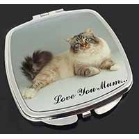 Tabby Birman Cat 