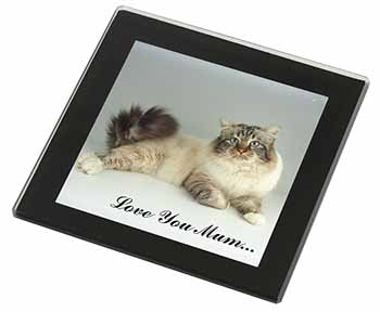 Tabby Birman Cat 