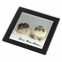 Tabby Birman Cat 