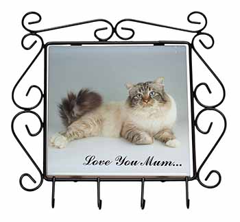 Tabby Birman Cat 