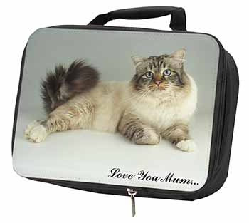 Tabby Birman Cat 