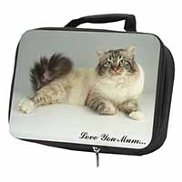 Tabby Birman Cat 