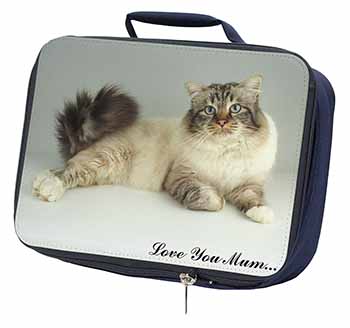 Tabby Birman Cat 