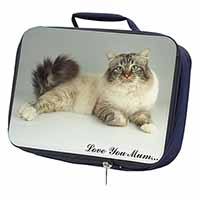 Tabby Birman Cat 