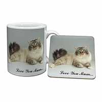 Tabby Birman Cat 