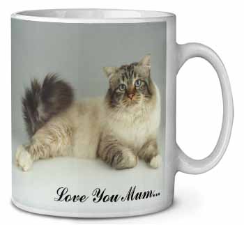 Tabby Birman Cat 