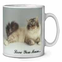 Tabby Birman Cat 