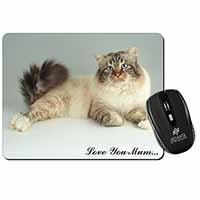 Tabby Birman Cat 