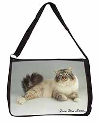 Tabby Birman Cat 