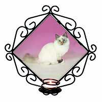 Tortie Birman Cat Wrought Iron Wall Art Candle Holder