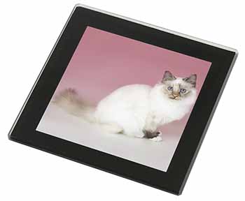 Tortie Birman Cat Black Rim High Quality Glass Coaster