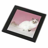 Tortie Birman Cat Black Rim High Quality Glass Coaster