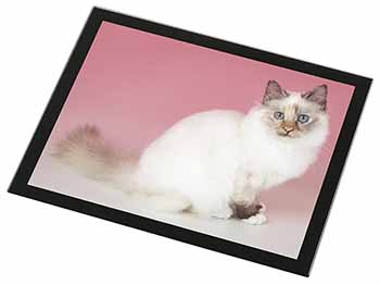 Tortie Birman Cat Black Rim High Quality Glass Placemat