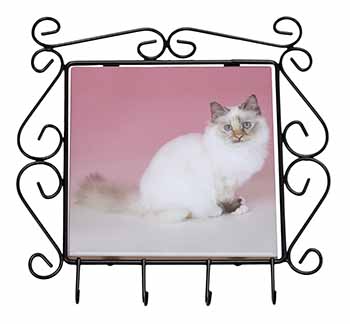 Tortie Birman Cat Wrought Iron Key Holder Hooks