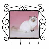 Tortie Birman Cat Wrought Iron Key Holder Hooks