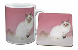 Tortie Birman Cat Mug and Coaster Set