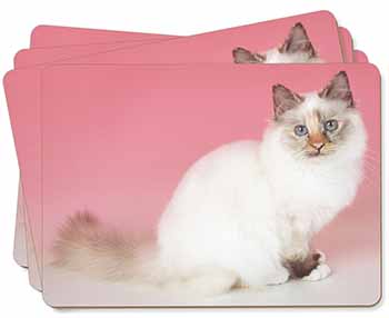 Tortie Birman Cat Picture Placemats in Gift Box