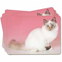 Tortie Birman Cat Picture Placemats in Gift Box