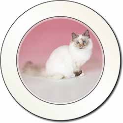 Tortie Birman Cat Car or Van Permit Holder/Tax Disc Holder