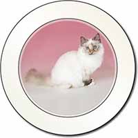 Tortie Birman Cat Car or Van Permit Holder/Tax Disc Holder