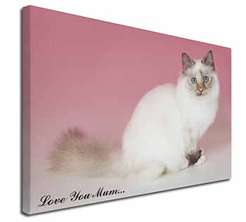 Birman Cat 