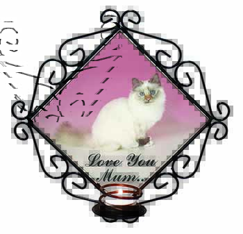 Birman Cat 