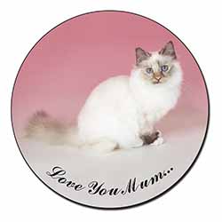 Birman Cat 