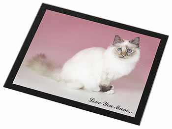 Birman Cat 