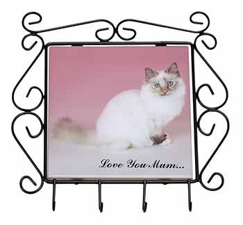 Birman Cat 