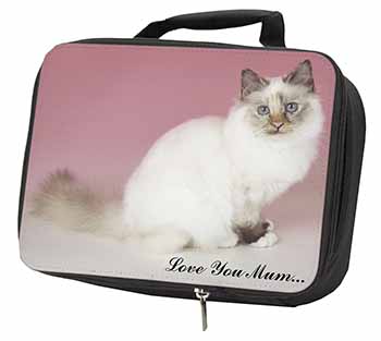 Birman Cat 