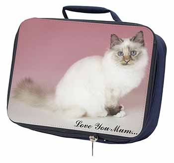 Birman Cat 