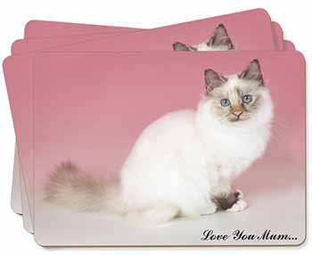 Birman Cat 