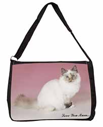 Birman Cat 