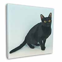 Black Bombay Cat Square Canvas 12"x12" Wall Art Picture Print