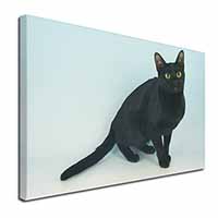 Black Bombay Cat Canvas X-Large 30"x20" Wall Art Print