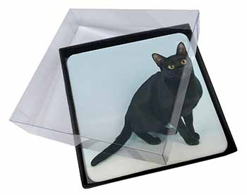 4x Black Bombay Cat Picture Table Coasters Set in Gift Box