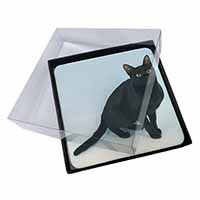 4x Black Bombay Cat Picture Table Coasters Set in Gift Box