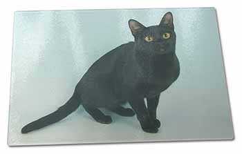 Large Glass Cutting Chopping Board Black Bombay Cat